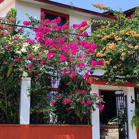 Posada Bugambilias Catemaco Kültér fotó