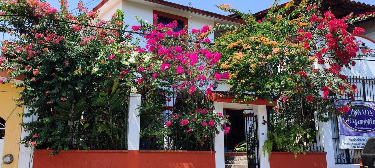 Posada Bugambilias Catemaco Kültér fotó